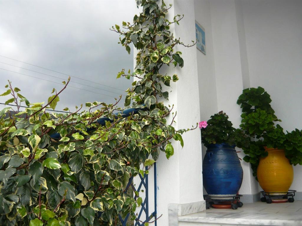 Villa Stegiovana Stavros  Exterior photo